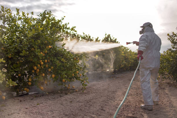 Best Pest Prevention Services  in Blacklick Estates, OH