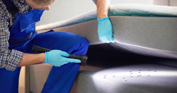Best Pest Removal Services  in Blacklick Estates, OH