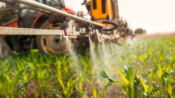 Best Mosquito Control Services  in Blacklick Estates, OH